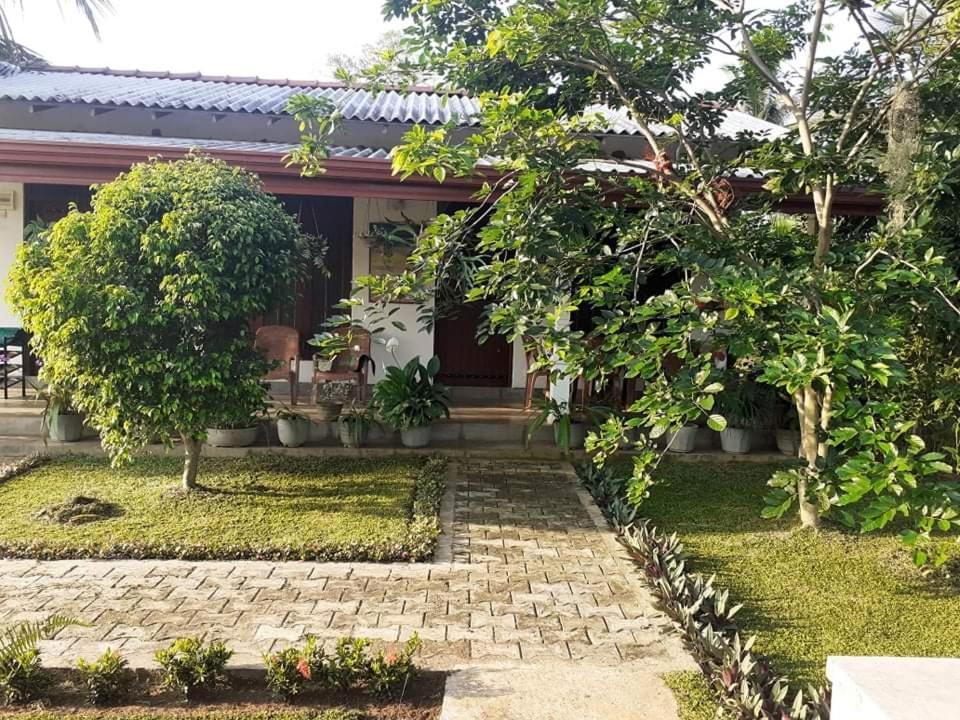 Nice View Lodge Sigirîya Extérieur photo