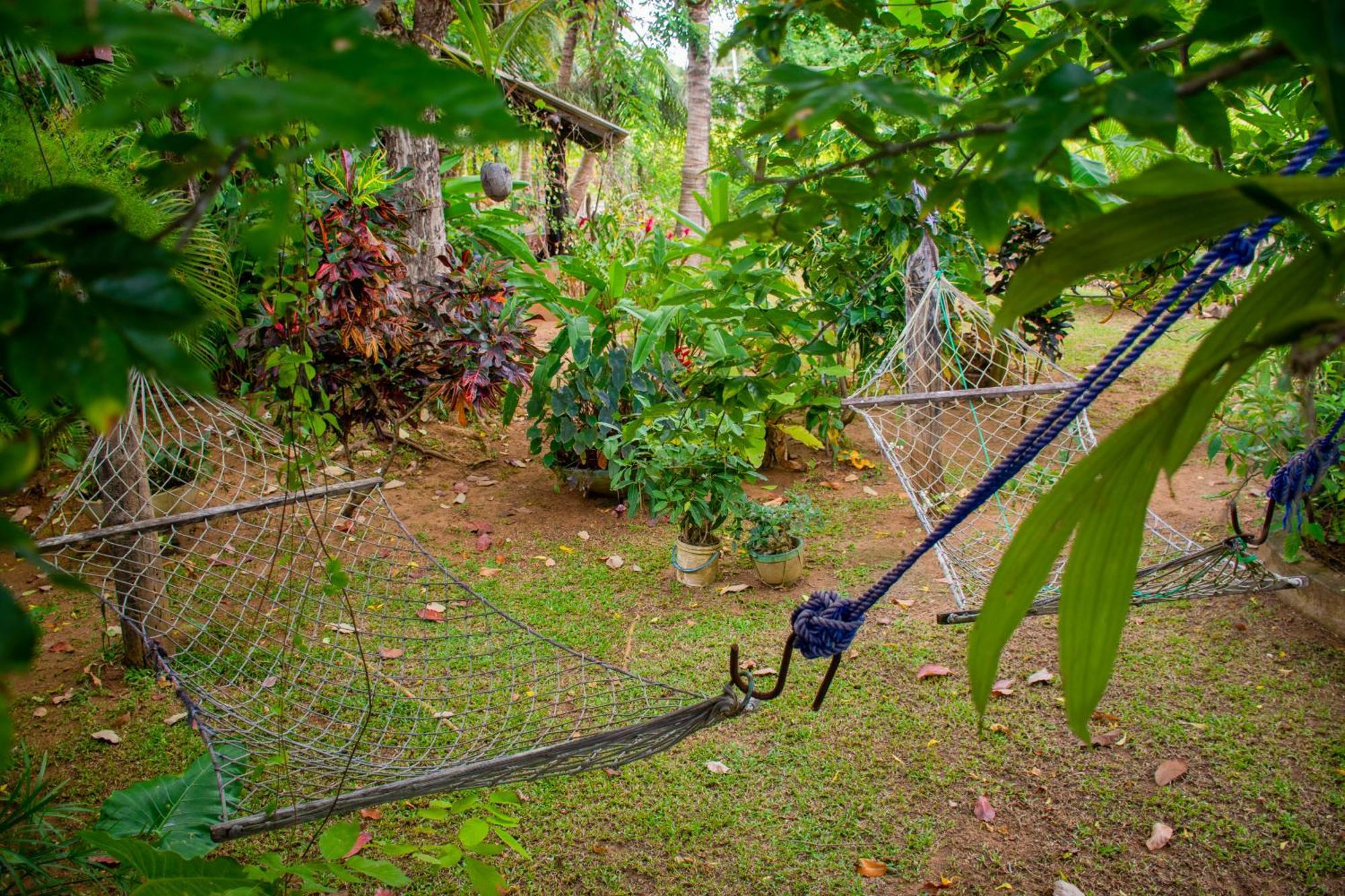Nice View Lodge Sigirîya Extérieur photo