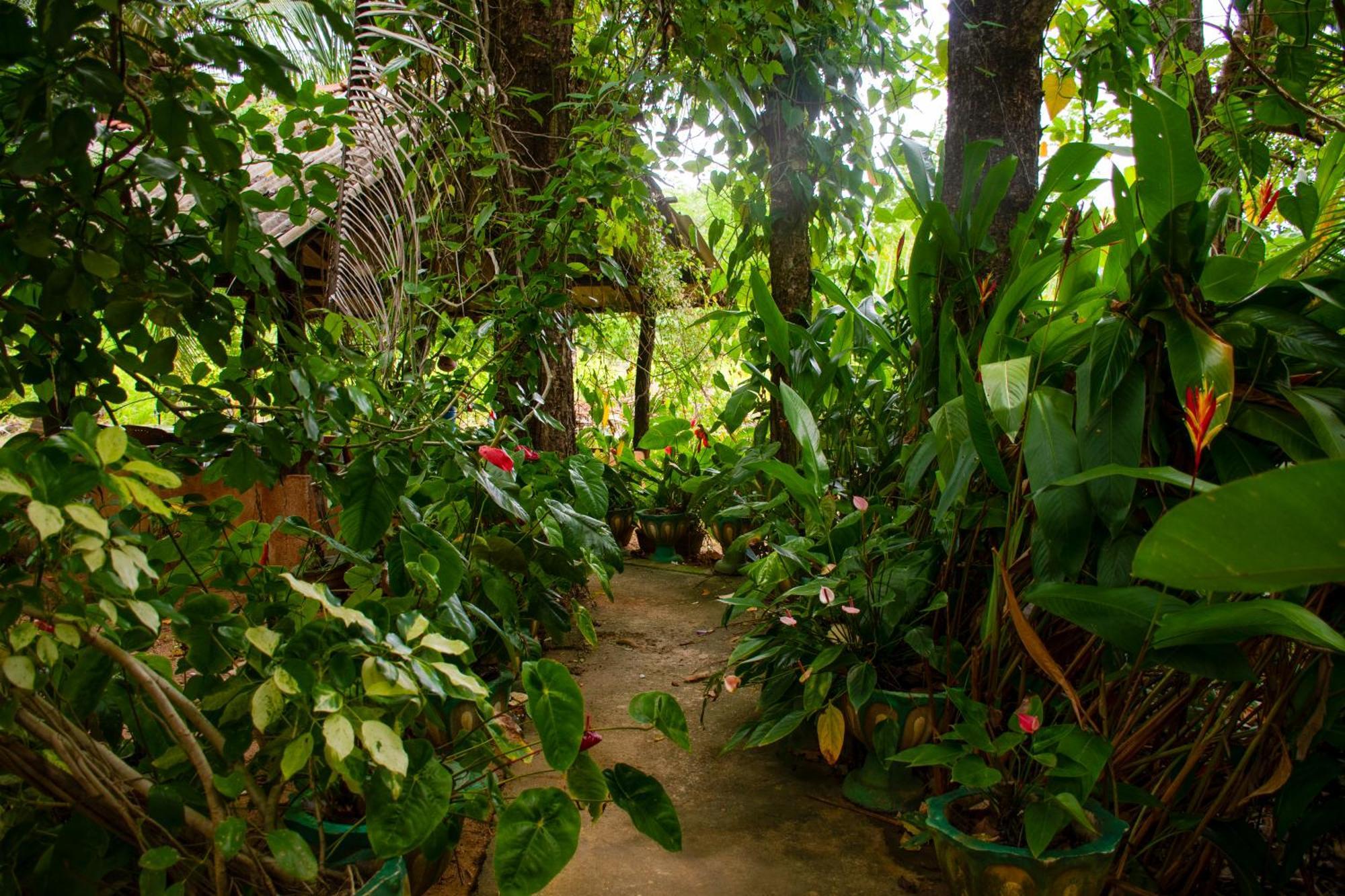 Nice View Lodge Sigirîya Extérieur photo